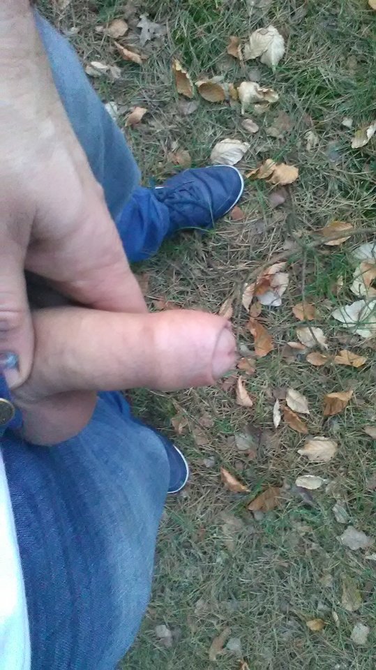 1523986619469467316763.jpg - eroteooo