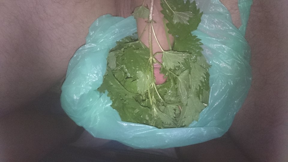 DSC_0102.JPG - zbyhof