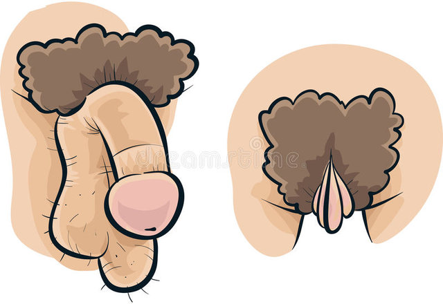 penis-i-pochwa-41570393.jpg - Maxx86