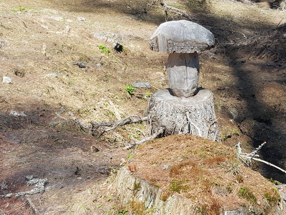 20180421_142234.jpg - CCC76