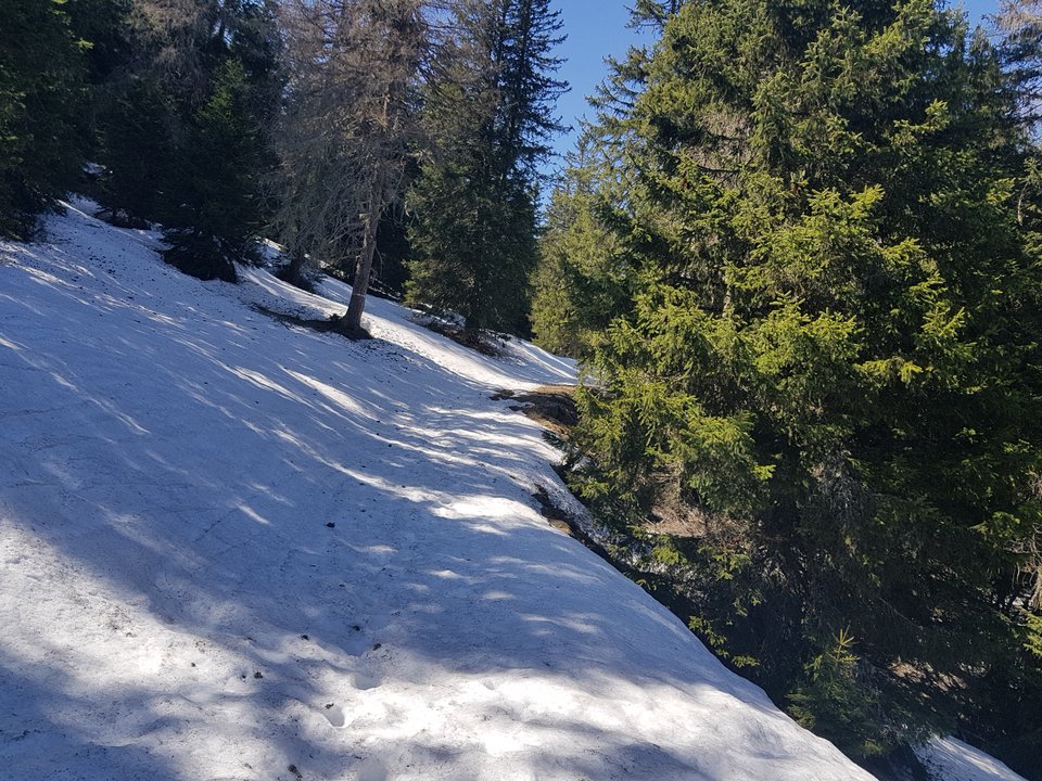 20180421_144949.jpg - CCC76