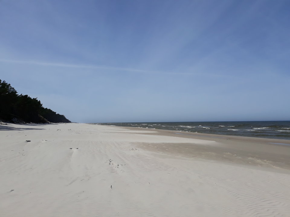 20180422_132641.jpg - rafik110