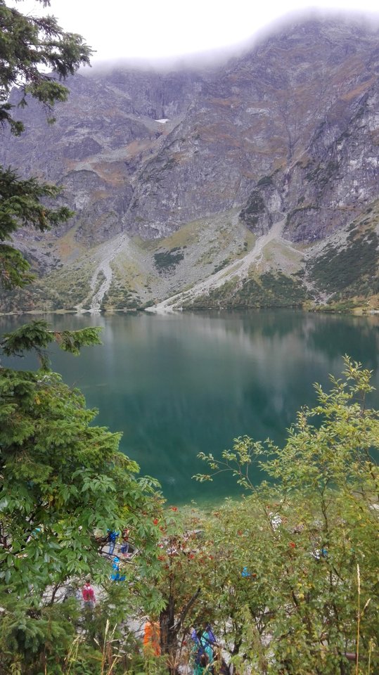 IMG_20160917_115548.jpg - przemo1969