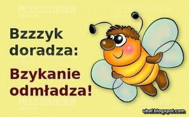 ZDJ 10.jpg - Pieszczoszki3638