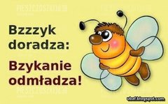 ZDJ 10.jpg