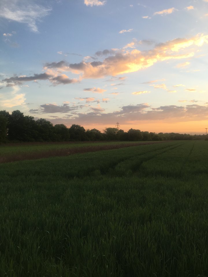 E6B4679D-D65D-4BFB-9BD5-12A415E901CC.jpeg - pawelsolt