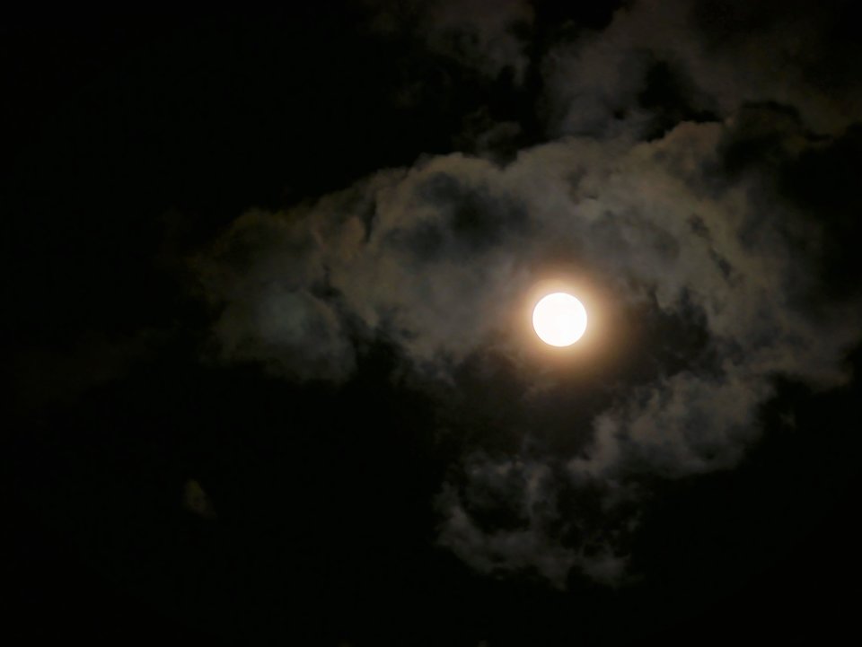 P1010512a.jpg - FoKam431