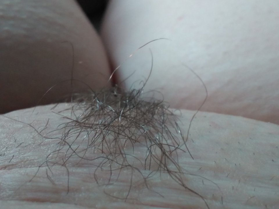 IMG_20180429_083605573.jpg - konik02