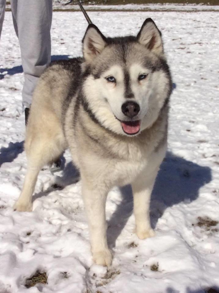 29425078_986644964822314_5761265982643372032_n.jpg - Leszek66b