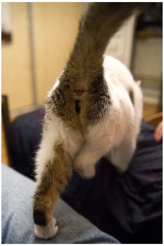 Pussy xD - FotoLub_foto