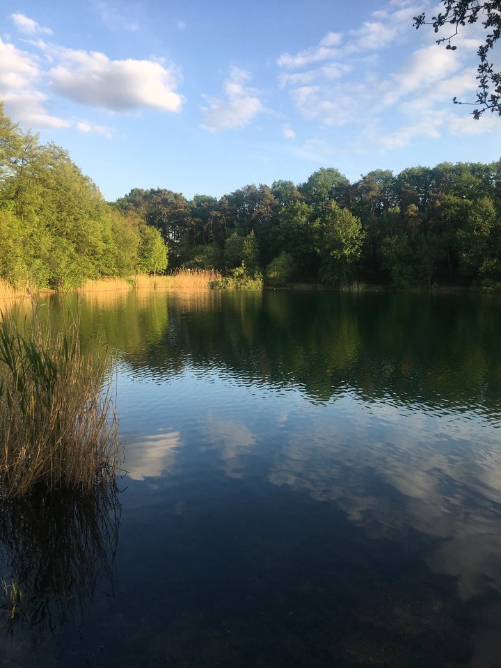 594079A9-CC90-4684-BC6C-DB7FA49883FE.jpeg - pawelsolt