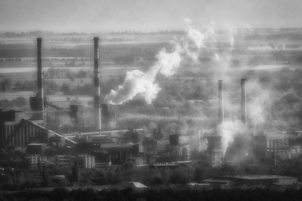 _DSC7803.jpeg - marquiz