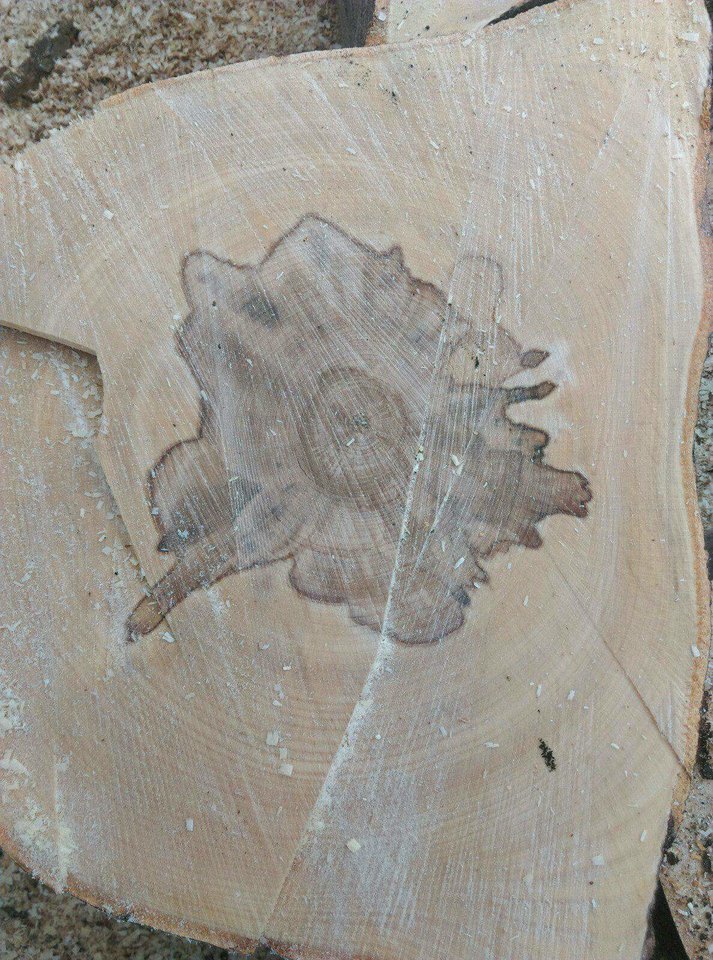 received_1961460620591274.jpeg - wirtualna11