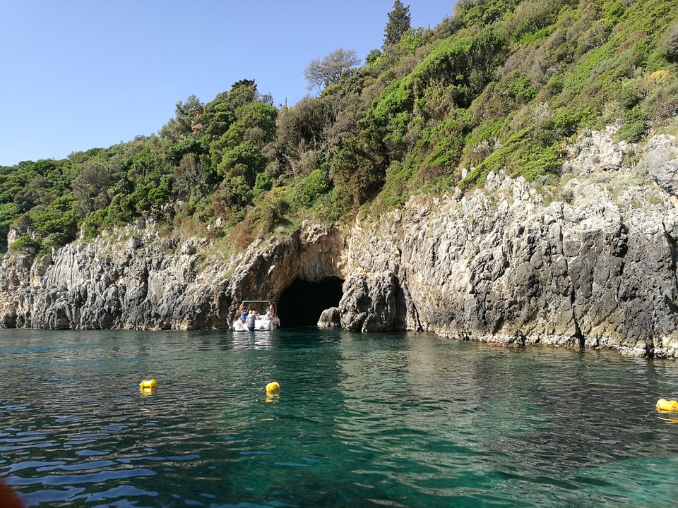 IMG_20180502_091204.jpg - Swingersii