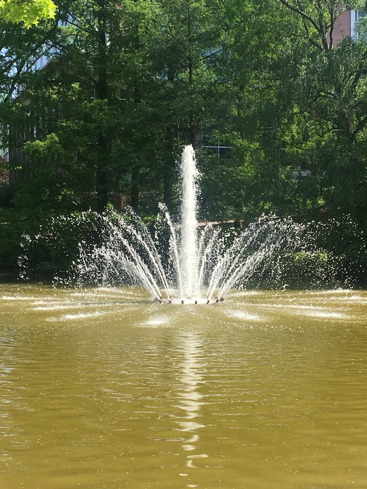 60773CE6-2C1C-4E4D-BB58-5FED053F1E1F.jpeg - pawelsolt