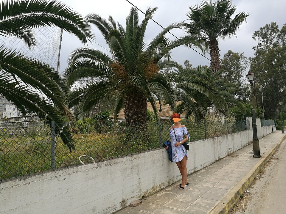 IMG_20180504_204936.jpg - Swingersii