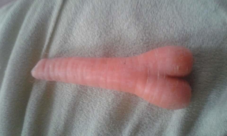 received_1951205265150002.jpeg - 33smerfetka33