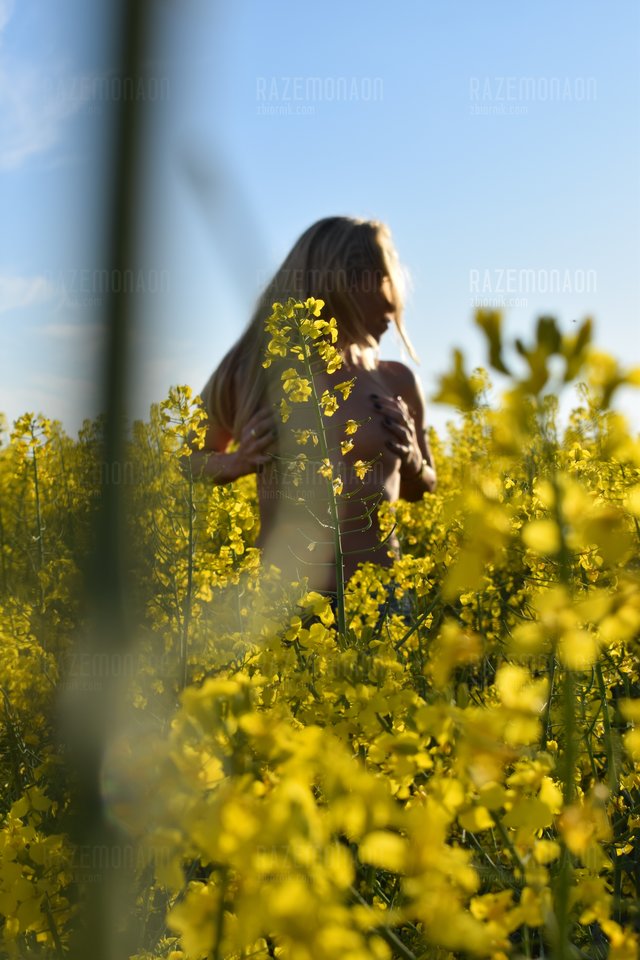 DSC_0244.JPG - RAZEMonaon