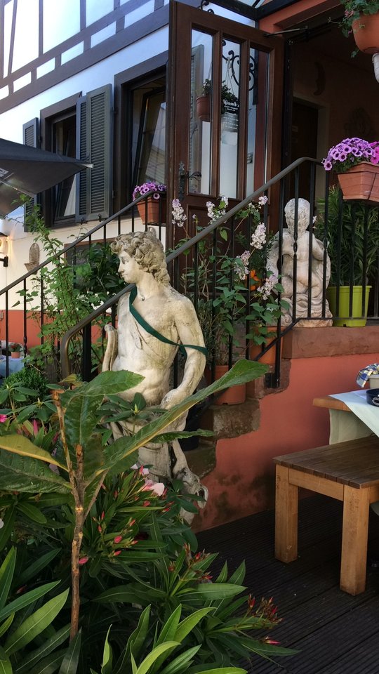 BBEA263C-466D-47AF-B385-25CA47702736.jpeg - pawelsolt