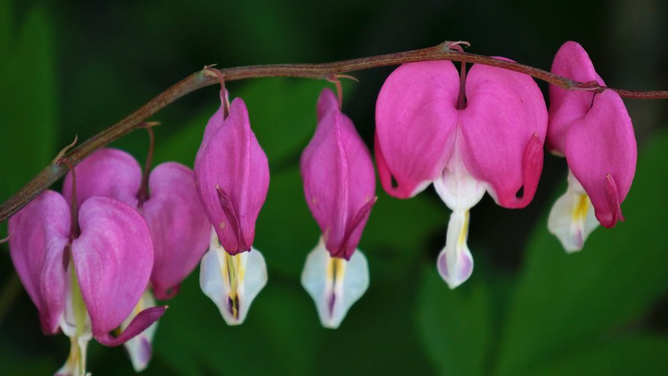 P1010640b.jpg - FoKam431