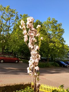 IMG_20180506_180504082_HDR.jpg