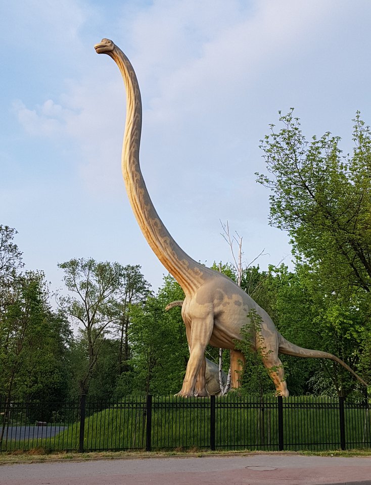 20180509_061554.jpg - wojtas388