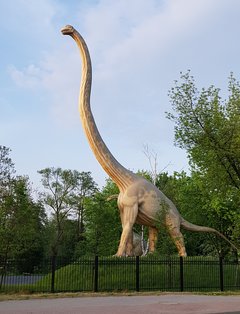 20180509_061554.jpg