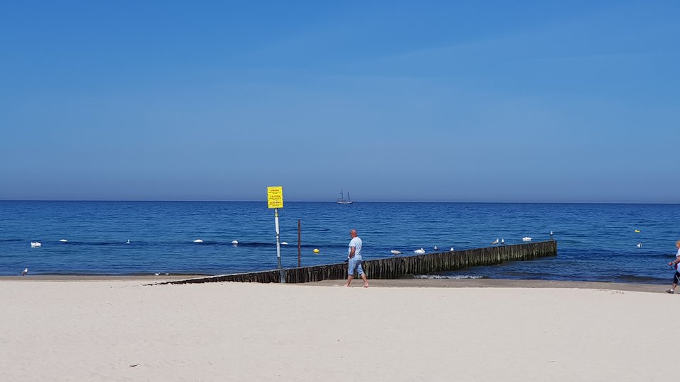 20180509_123625.jpg - onkonkretny