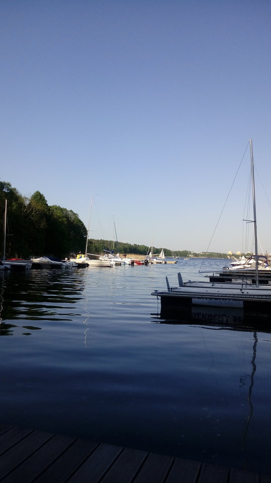 20180509_180647.jpg - dick_baba