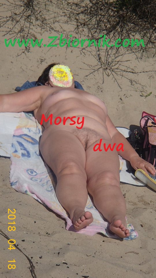 W słońcu. - Morsy_dwa