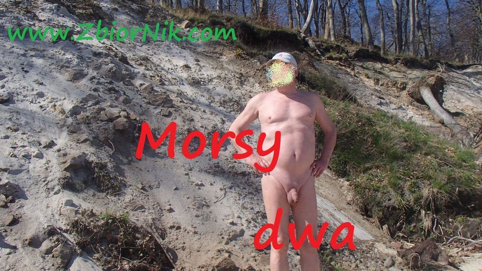 W słońcu. - Morsy_dwa