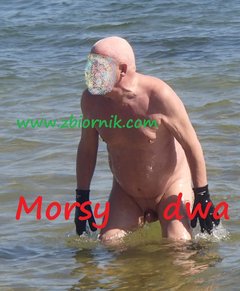 Spojrzenie w stronę lądu.