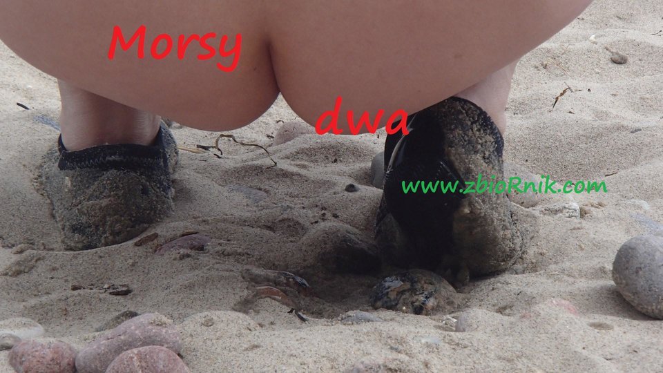 Po kropelce. - Morsy_dwa