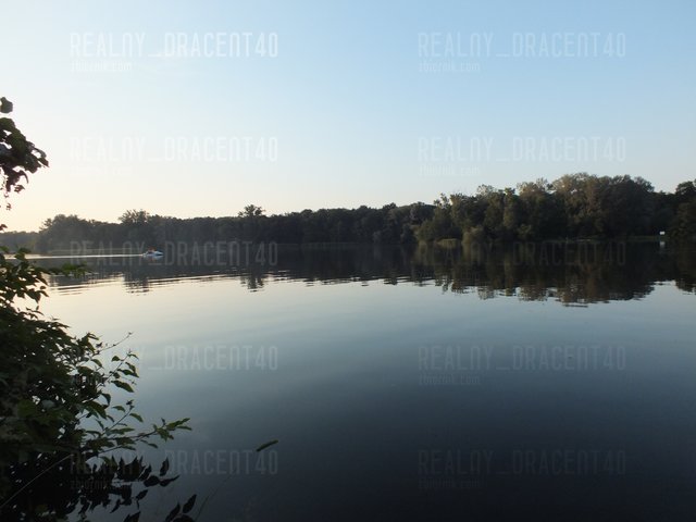 realny_dracent40