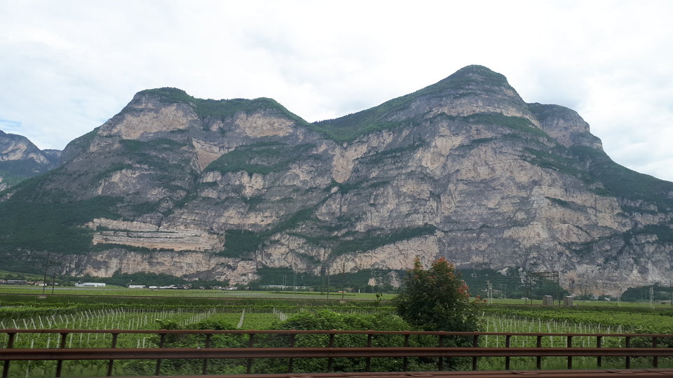20180511_092914.jpg - aquila81