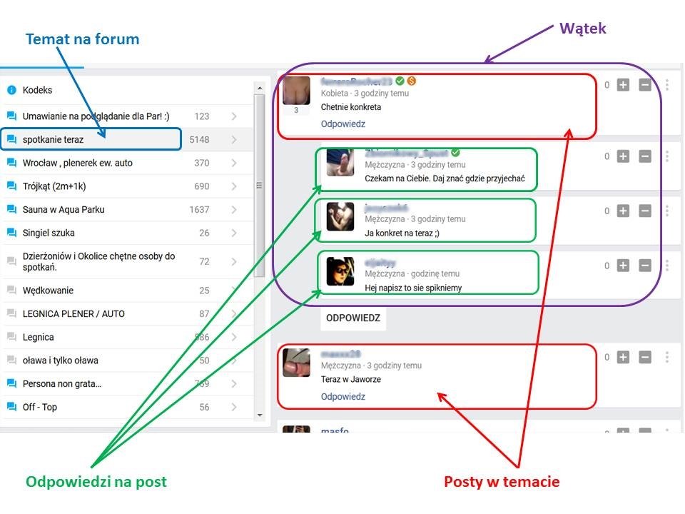 Krótka infografika na przykładzie Forum dolnośląskiego - Parazwroc
