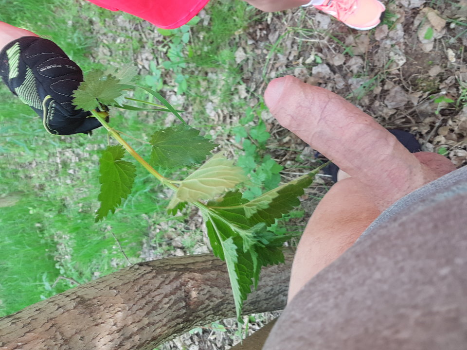 20180501_174828.jpg - szatynka1212