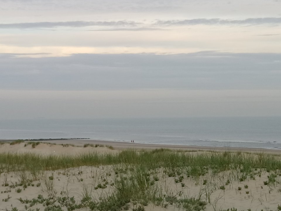 DSC_0014.JPG - wygly1989