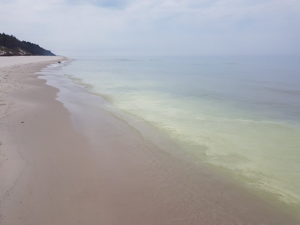 20180512_125618.jpg - strayk