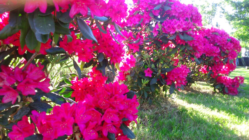 DSC_0018.JPG - kristov