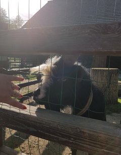 20180513_140753.jpg