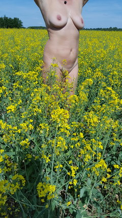 Zapach rzepaku bezcenny