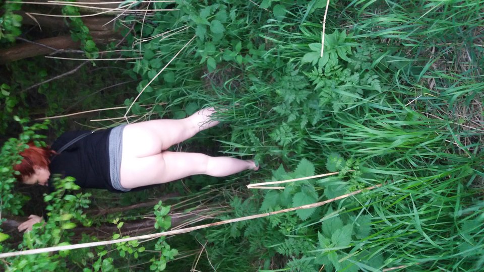 20180513_202949.jpg - mikaislaw