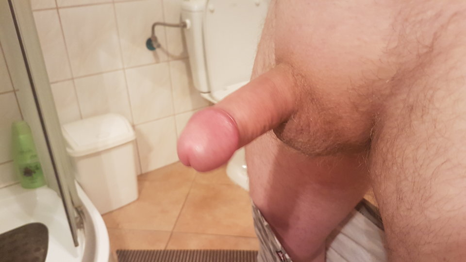 15263258954561477632771.jpg - Carolpoznan