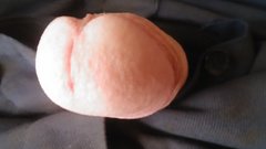 20180515_125054.jpg