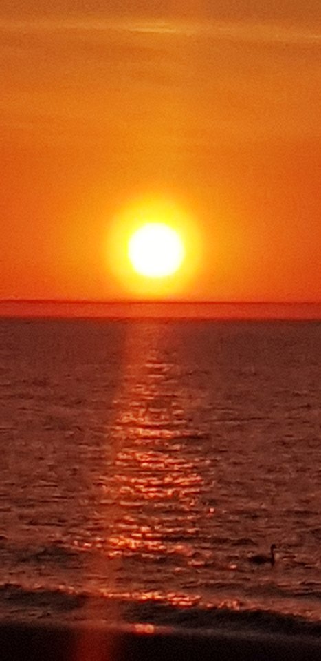 20180514_204000.jpg - michalnn79