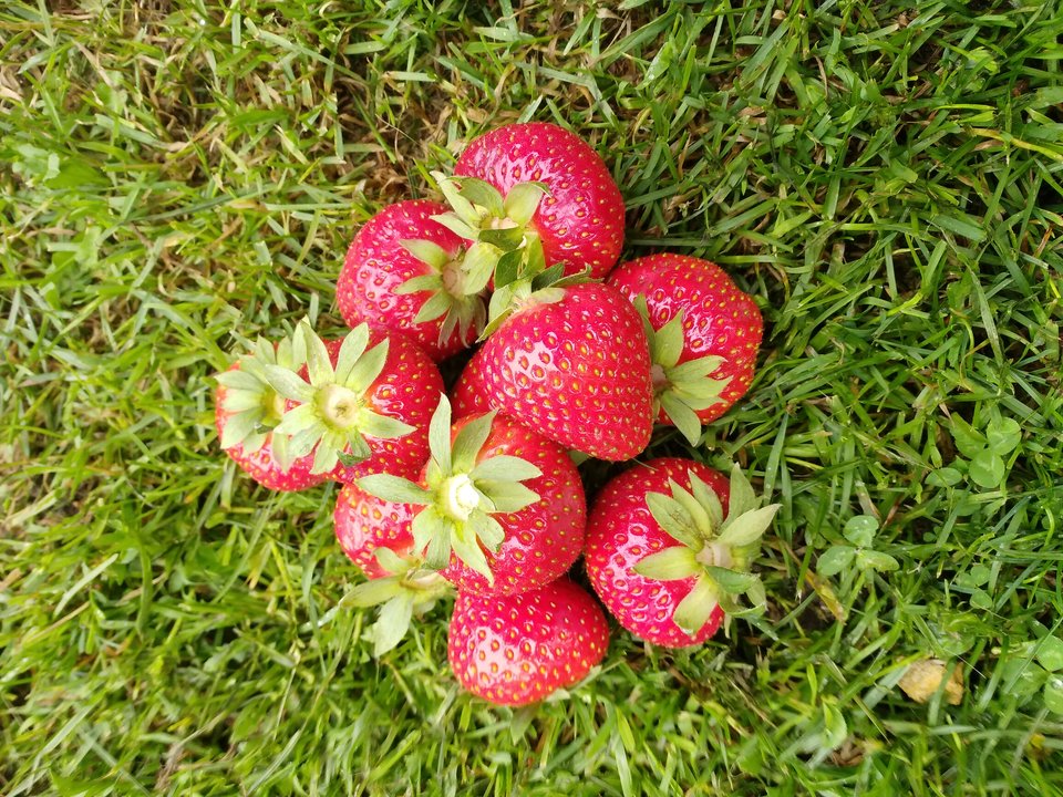 IMG_20180516_181002.jpg - krakonxyz