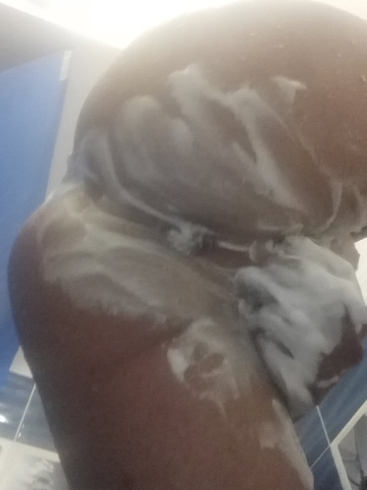 IMG_20180517_025730.jpg - Gaybus86