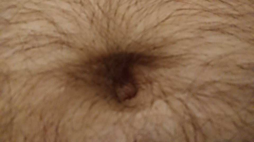 15266807429693237277977525619897.jpg - jim7