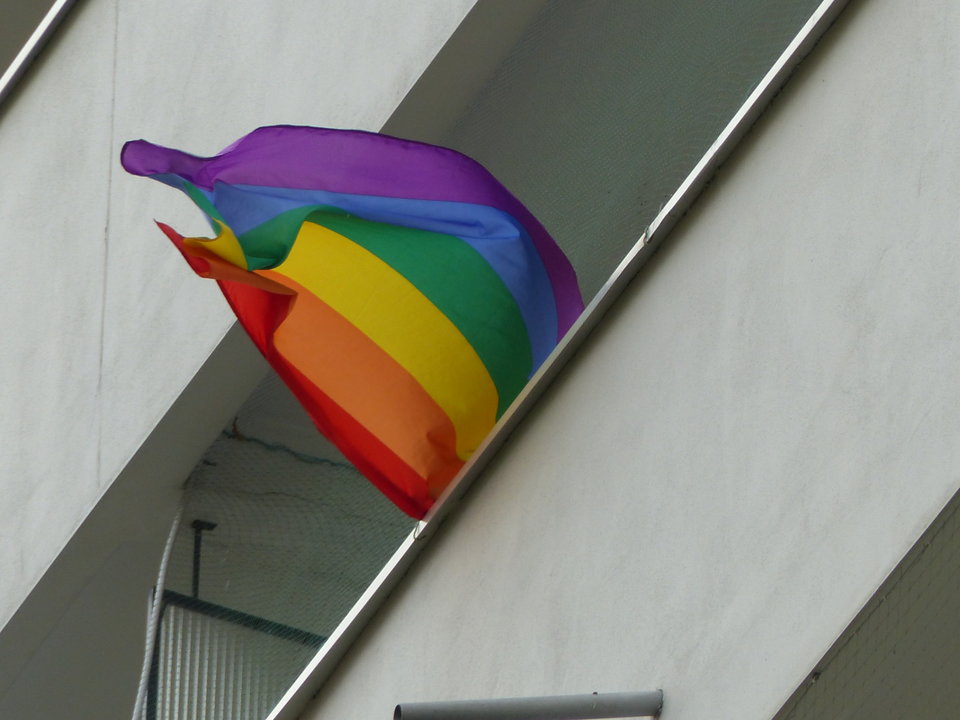 P1010928.JPG - hectorpolski